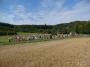 076-racice-lulec-21.8.2008.jpg