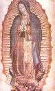 K svátku Panny Marie Guadalupské