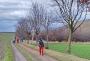 17.2.2024a13.56adablice.jpg